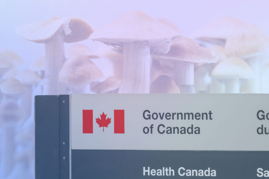 How_Psychedelic_Treatment_Through_Health_Canada_Special_Access_Program_Works_Psychedelic_Spotlight_2